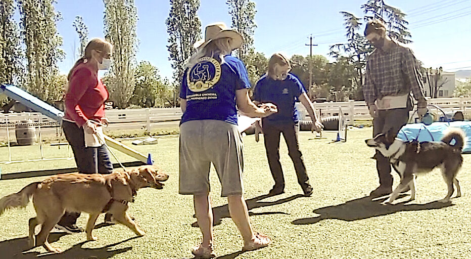 Astro's Agility